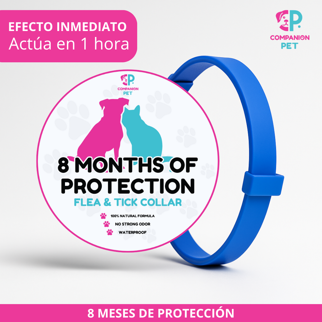 Special Offer: Buy 1 Flea & Tick Collar, Get 2 – Up to 8 Months of Protection – Adjustable for Dogs & Cats – 70cm
