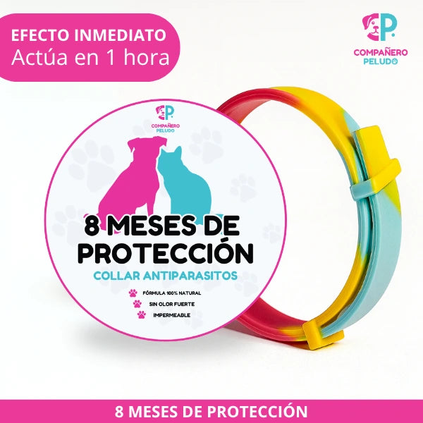 Special Promotion: Buy 1 Anti-parasite Collar and Get 2-8 Months of Protection - Adjustable for Dogs and Cats - Size 70cm