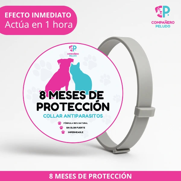 Special Promotion: Buy 1 Anti-parasite Collar and Get 2-8 Months of Protection - Adjustable for Dogs and Cats - Size 70cm