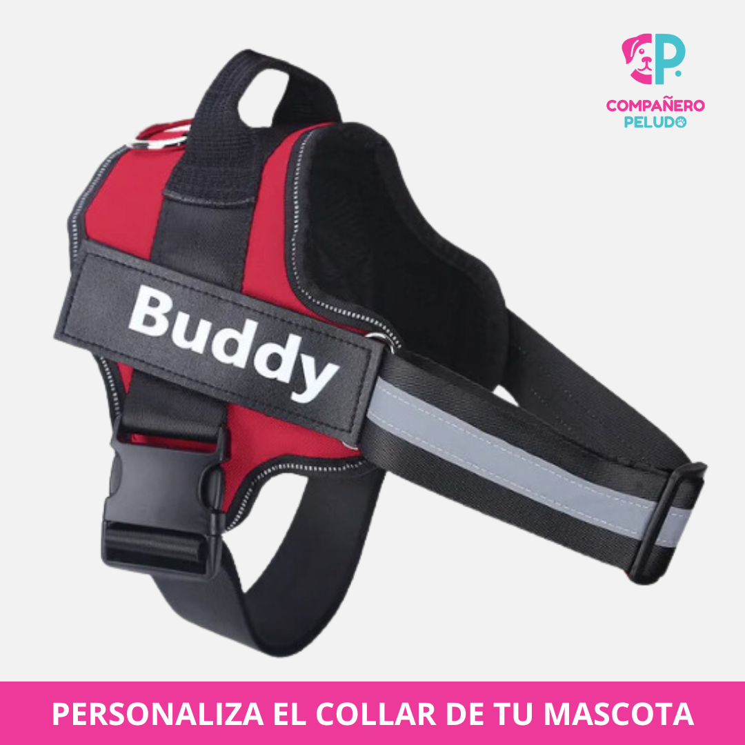 Personalized Harness with Name and Phone Number
