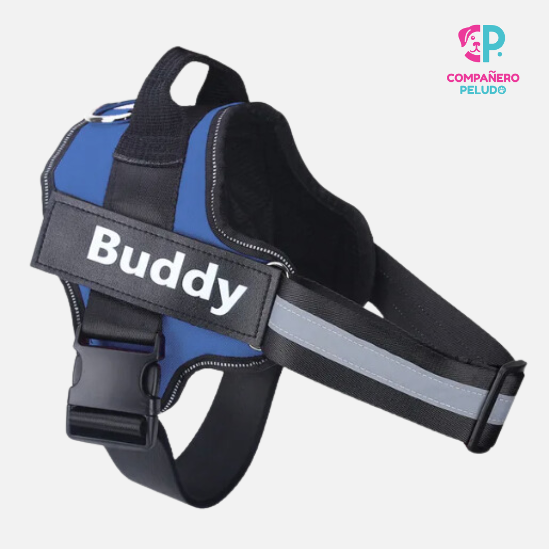 Personalized Harness with Name and Phone Number