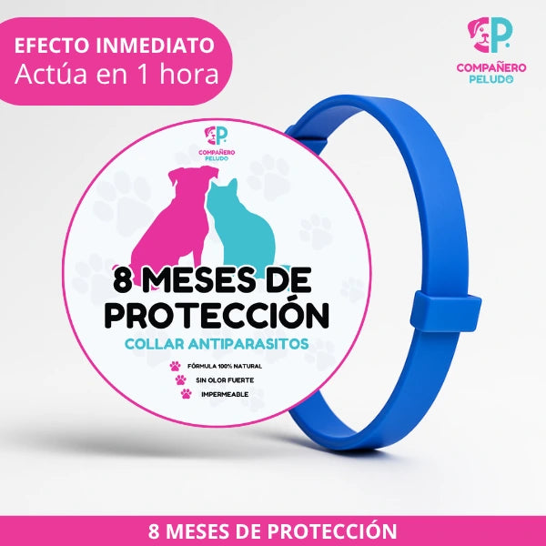 Special Promotion: Buy 1 Anti-parasite Collar and Get 2-8 Months of Protection - Adjustable for Dogs and Cats - Size 70cm