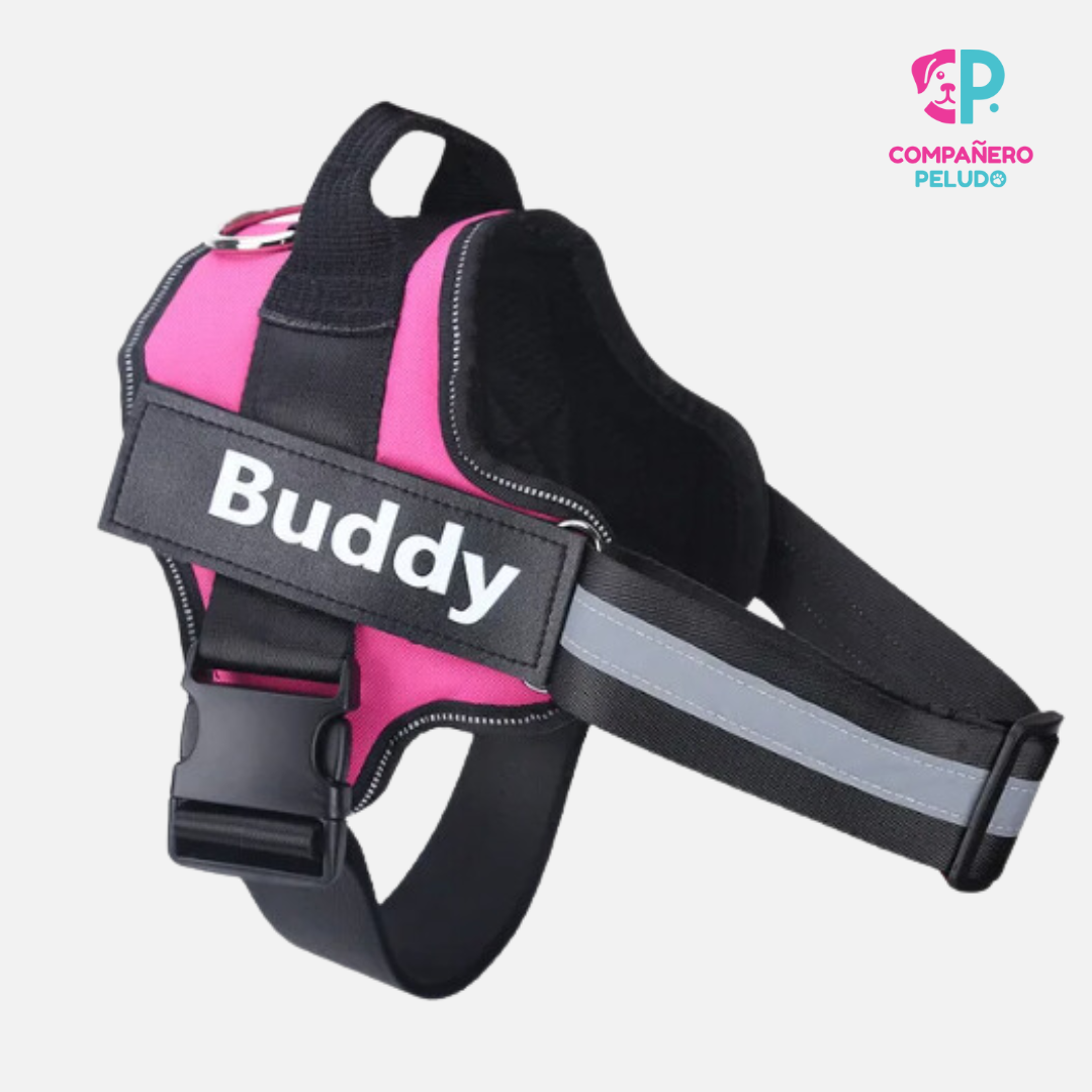 Personalized Harness with Name and Phone Number