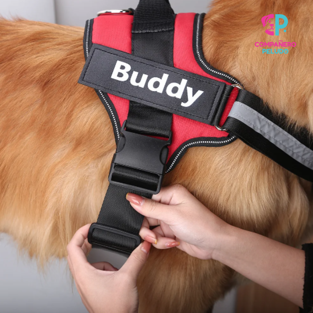 Personalized Harness with Name and Phone Number