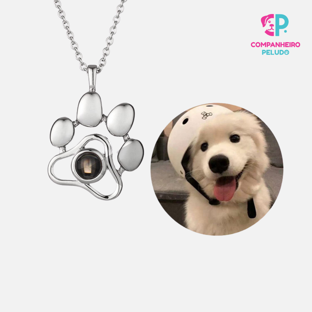 Personalized Collar and Bracelet Set with Your Pet's Paw Print and Photo