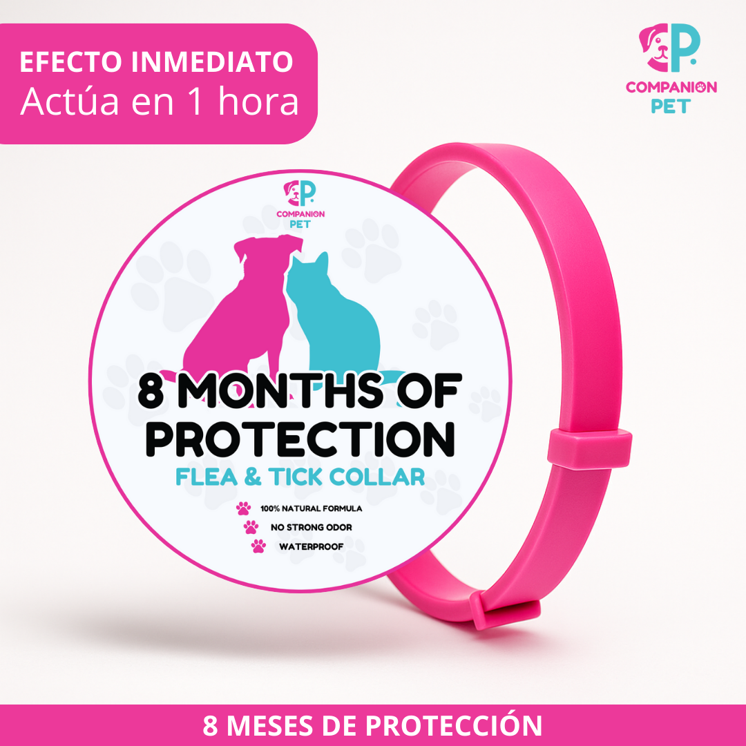 Special Offer: Buy 1 Flea & Tick Collar, Get 2 – Up to 8 Months of Protection – Adjustable for Dogs & Cats – 70cm