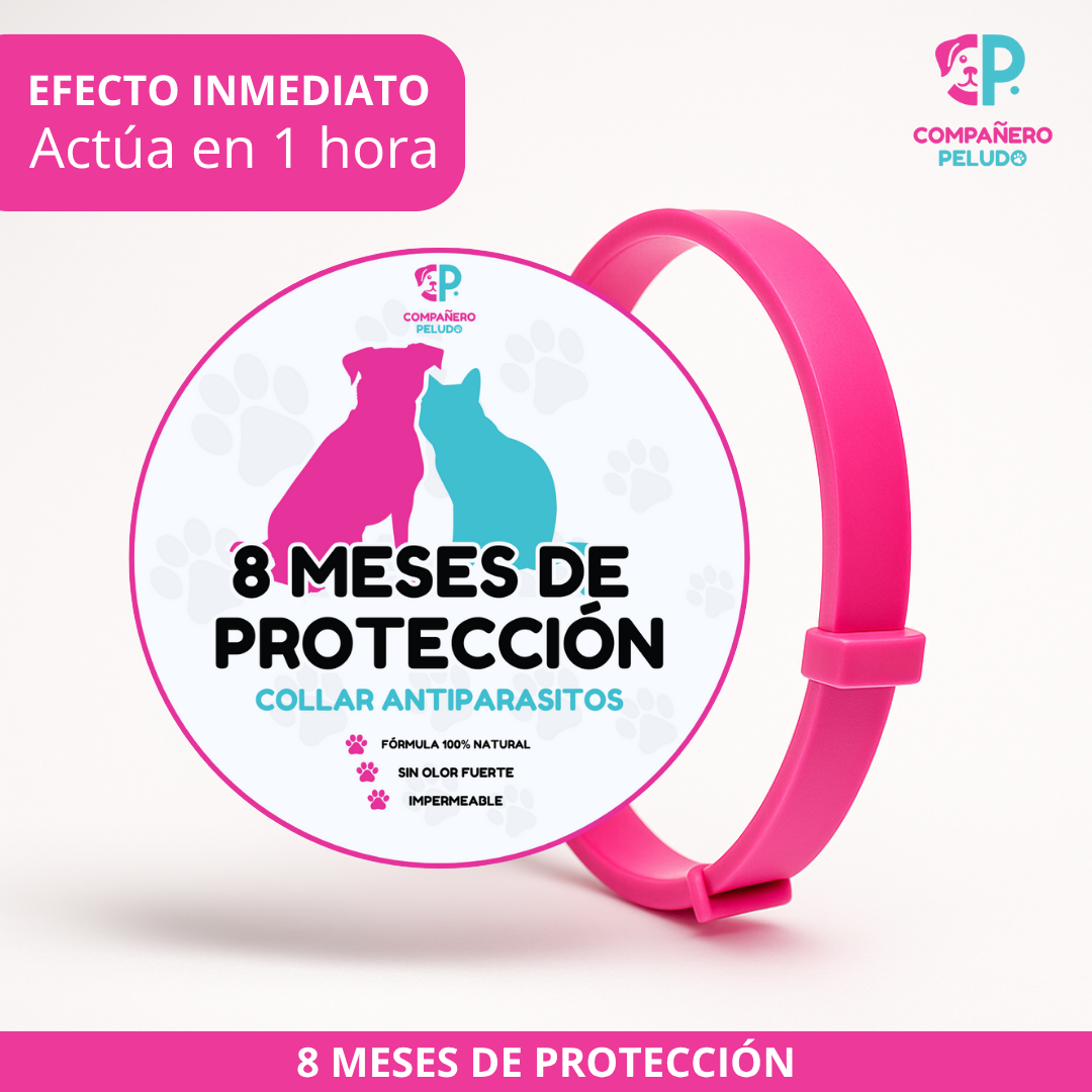Promoción Especial: Compra 1 Collar Antiparasitario y Llévate 2 – 8 Meses de Protección – Ajustable para Perros y Gatos – Talla 70cm