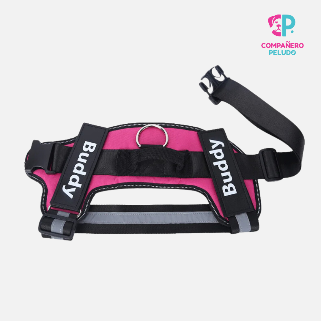Personalized Harness with Name and Phone Number