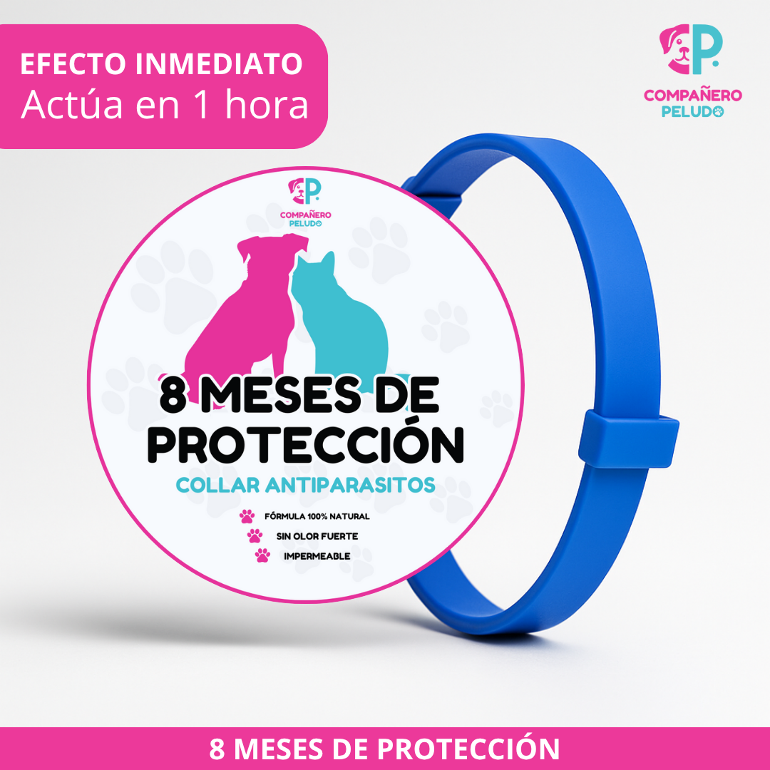 Promoción Especial: Compra 1 Collar Antiparasitario y Llévate 2 – 8 Meses de Protección – Ajustable para Perros y Gatos – Talla 70cm