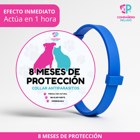 Promoción Especial: Compra 1 Collar Antiparasitario y Llévate 2 – 8 Meses de Protección – Ajustable para Perros y Gatos – Talla 70cm