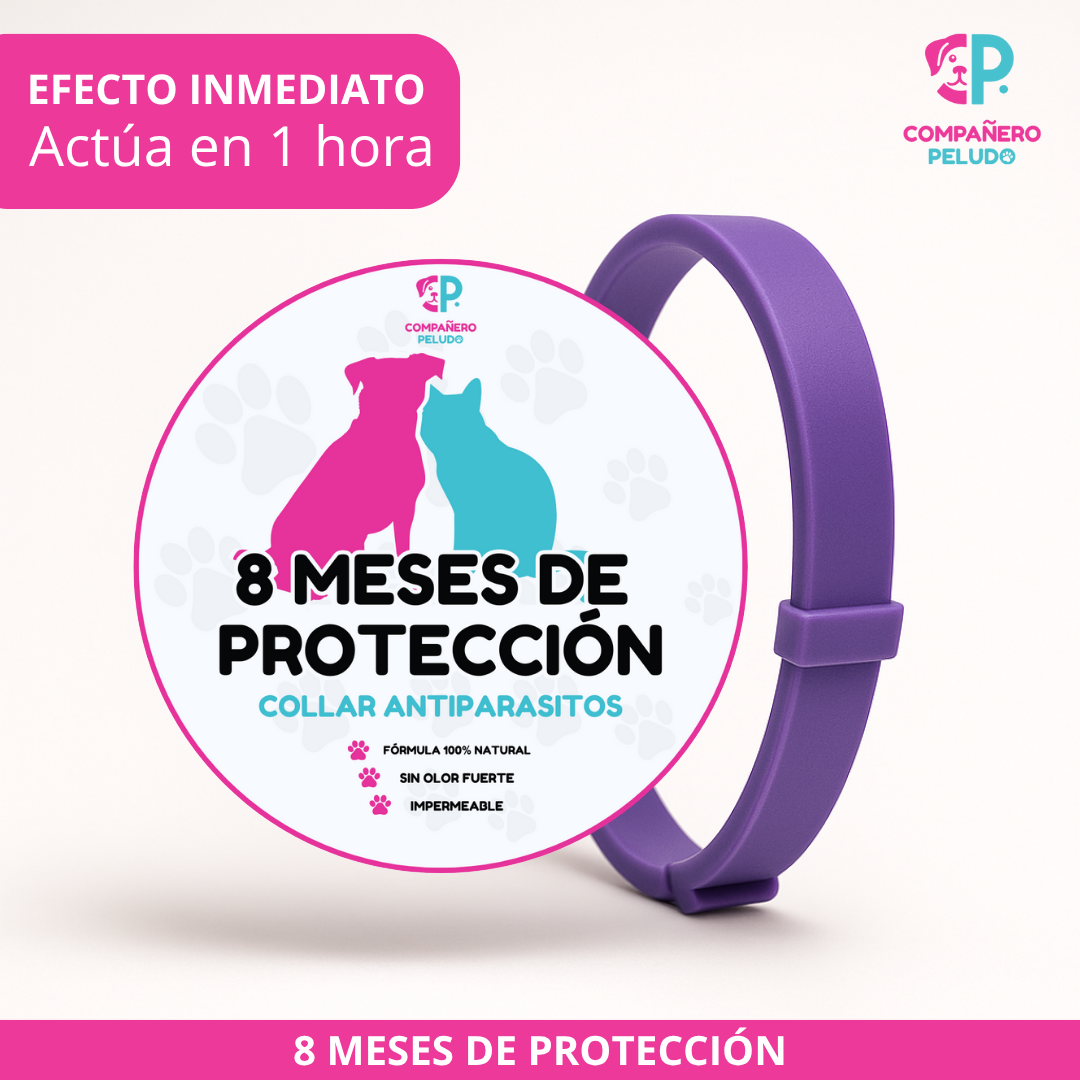 Adjustable antiparasitic collar for dogs and cats, Up to 8 months of protection – 70 cm