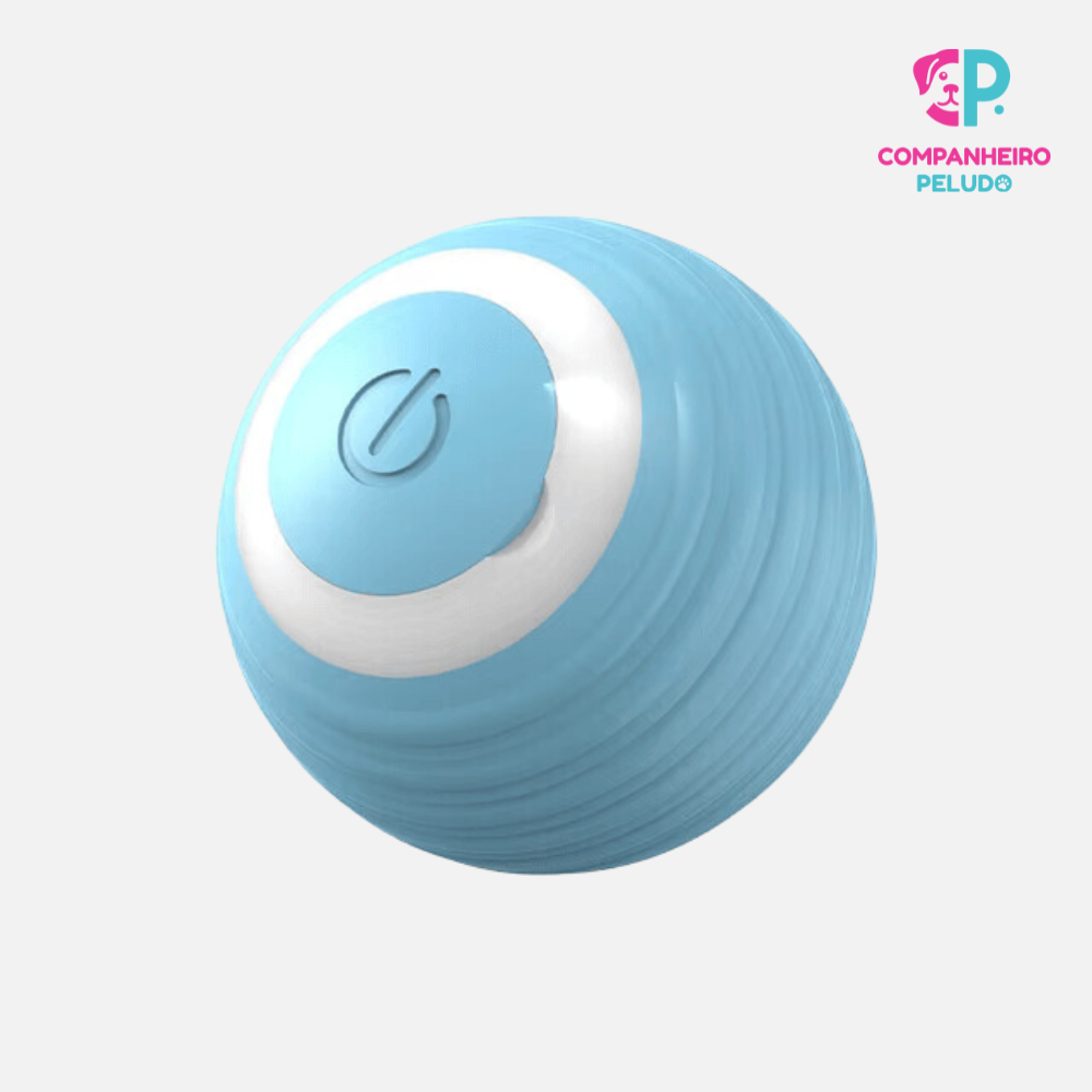 Automatic Interactive Ball for Cats