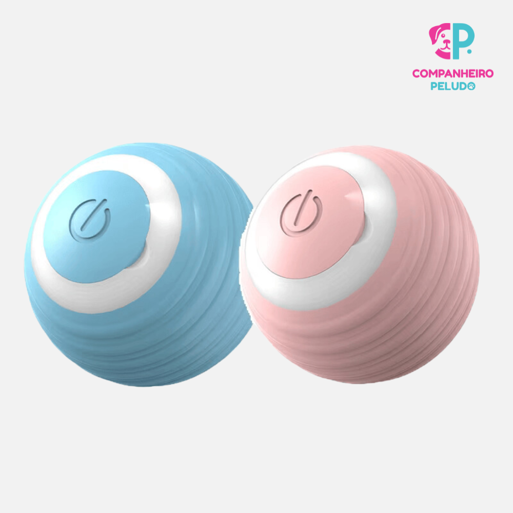 Automatic Interactive Ball for Cats