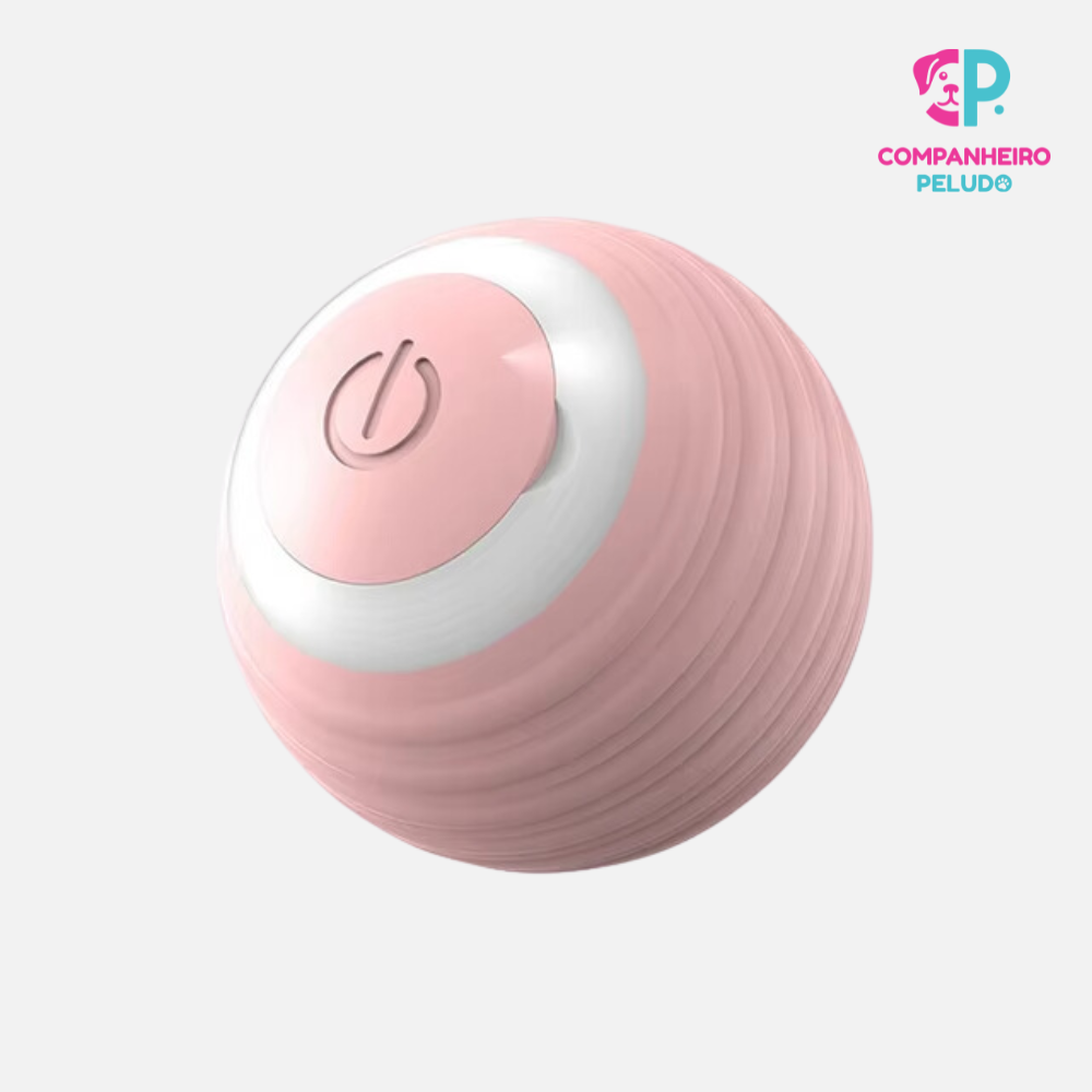 Automatic Interactive Ball for Cats