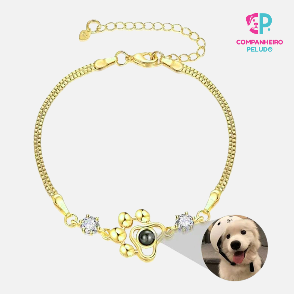 Personalized Collar and Bracelet Set with Your Pet's Paw Print and Photo