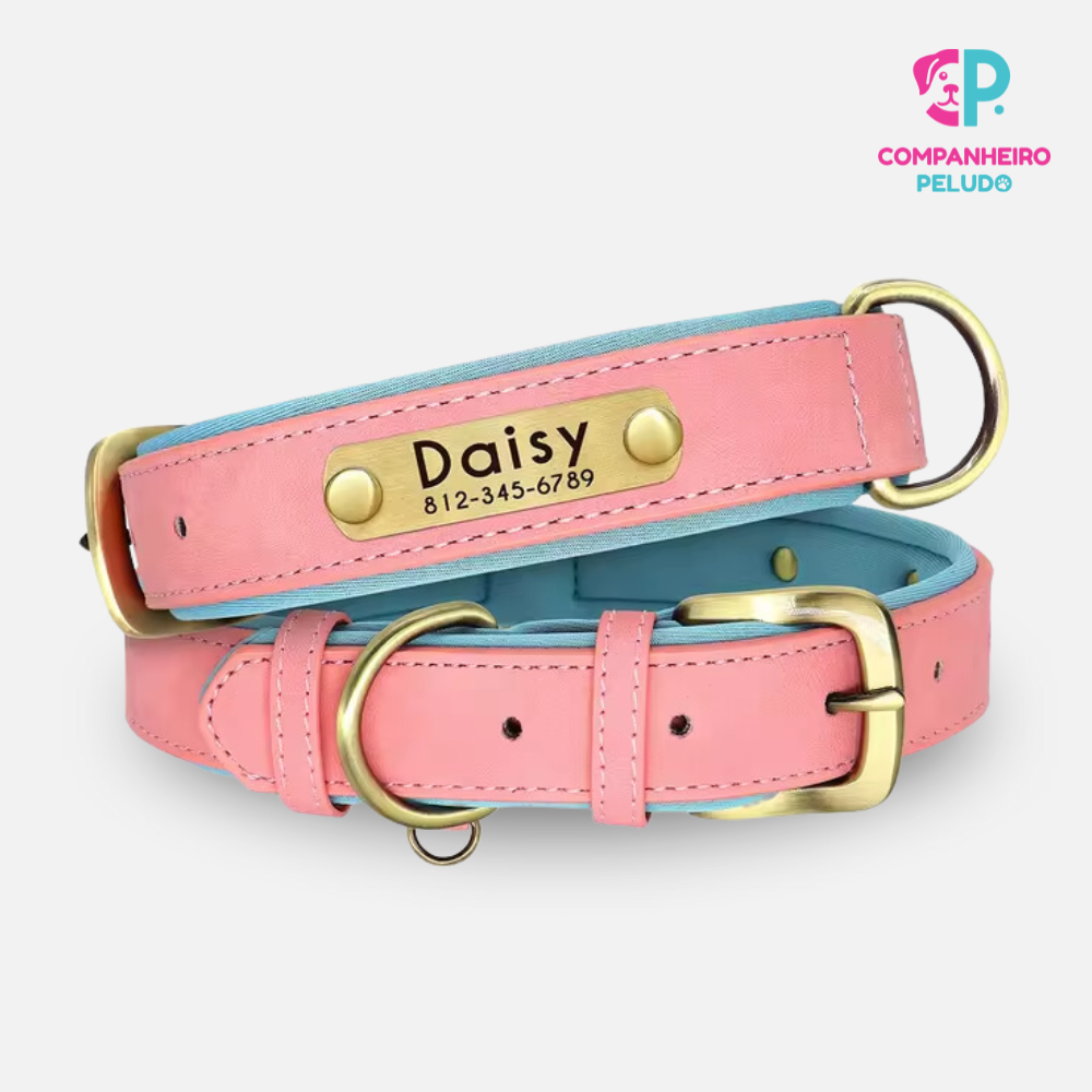 Personalized Leather Collar for Dogs and Cats – Premium Quality