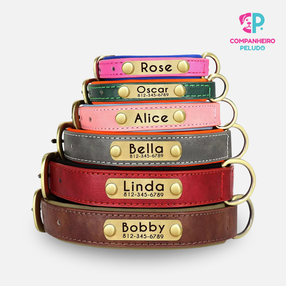 Personalized Leather Collar for Dogs and Cats – Premium Quality