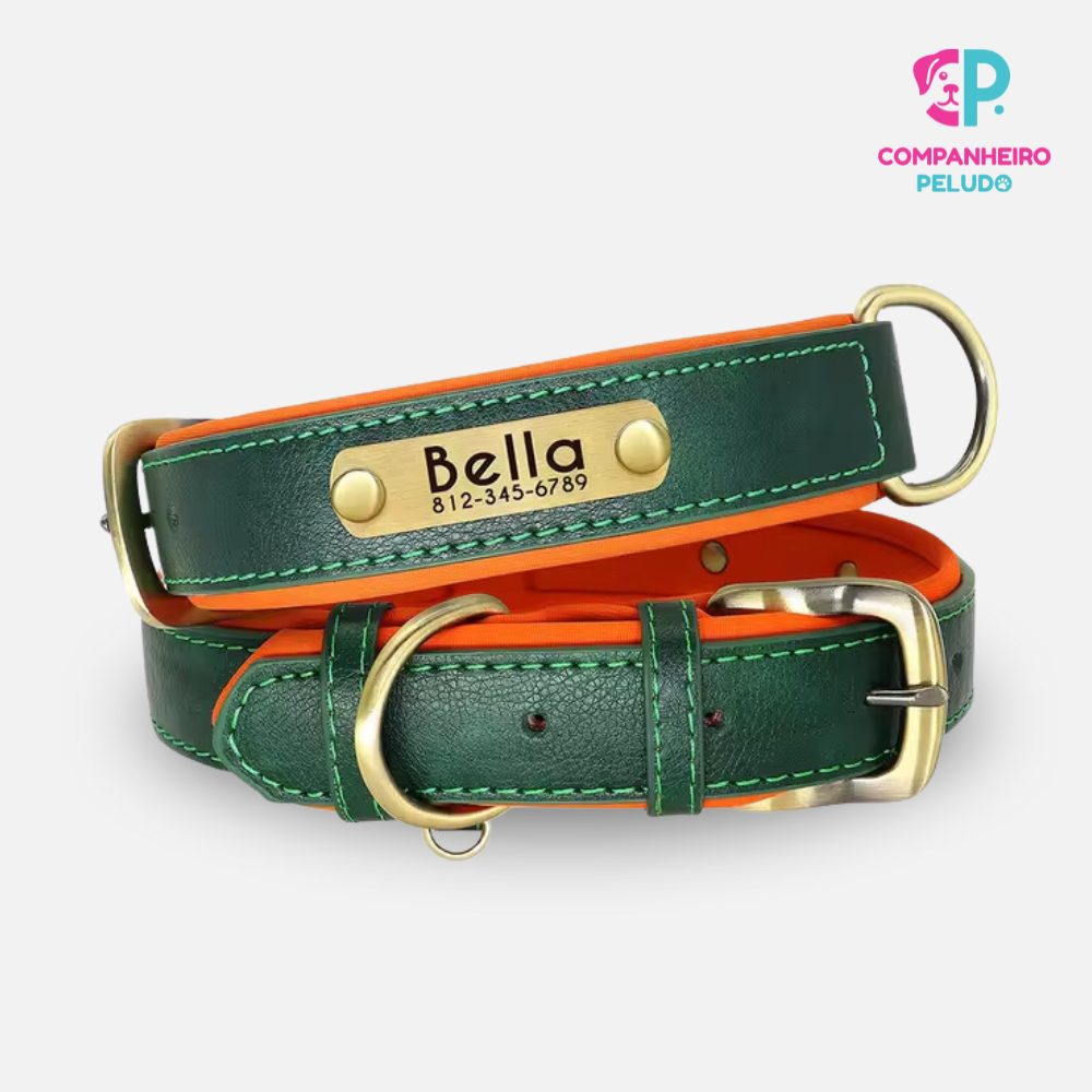 Personalized Leather Collar for Dogs and Cats – Premium Quality