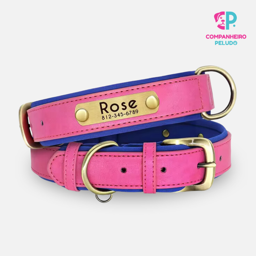 Personalized Leather Collar for Dogs and Cats – Premium Quality