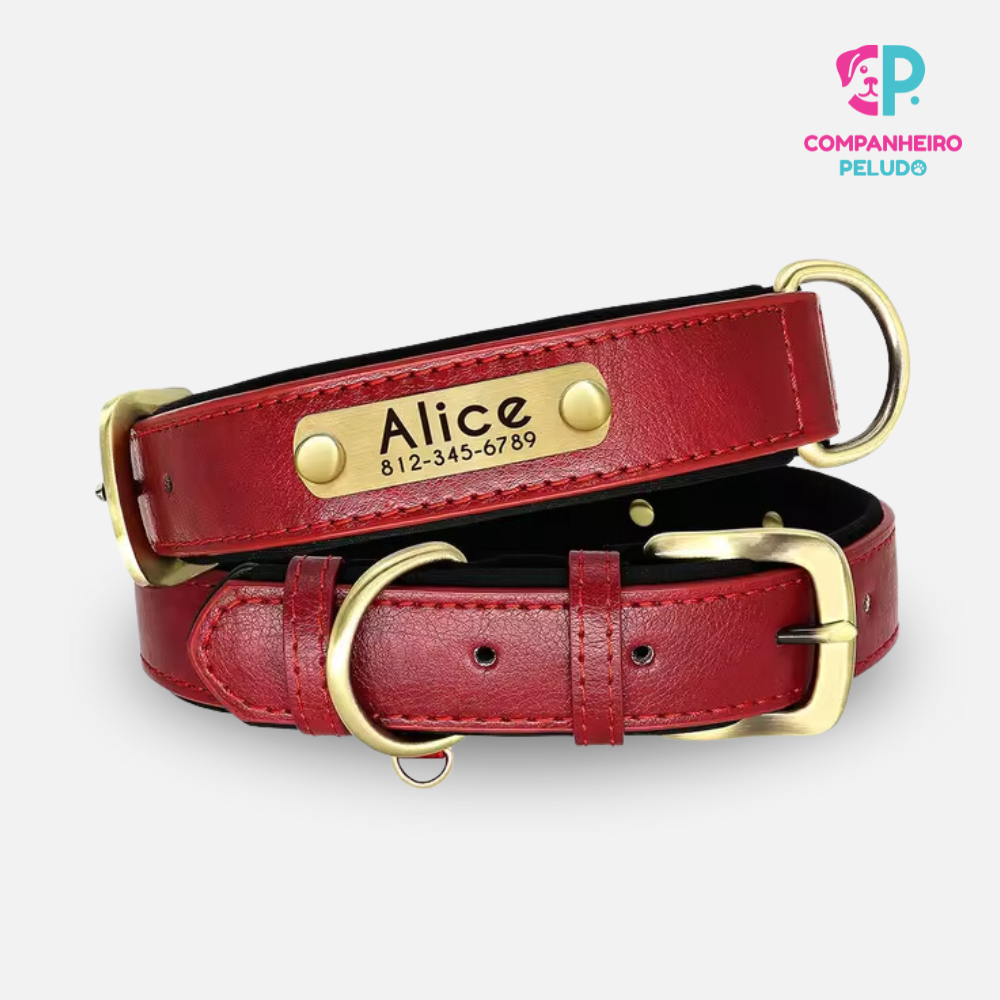 Personalized Leather Collar for Dogs and Cats – Premium Quality