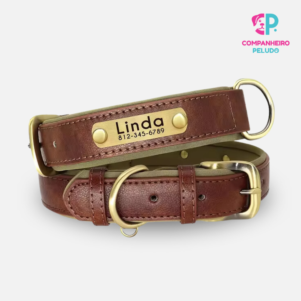 Personalized Leather Collar for Dogs and Cats – Premium Quality