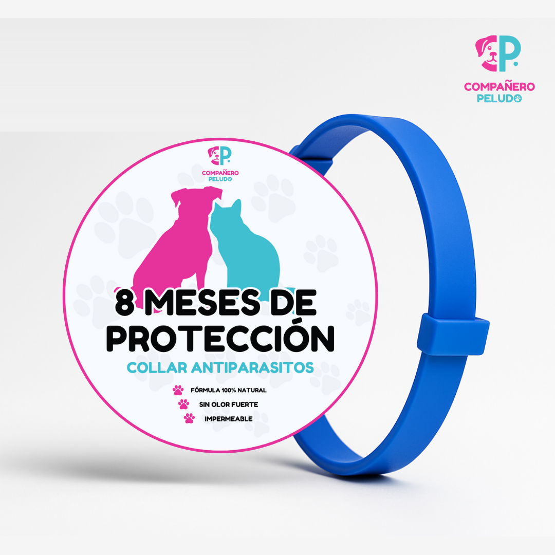 Pack de 4 collares antiparasitarios Compañero Peludo