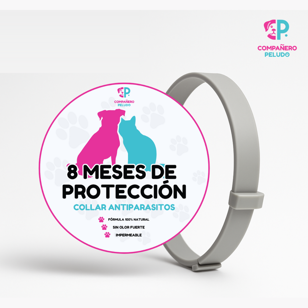 Pack de 4 collares antiparasitarios Compañero Peludo