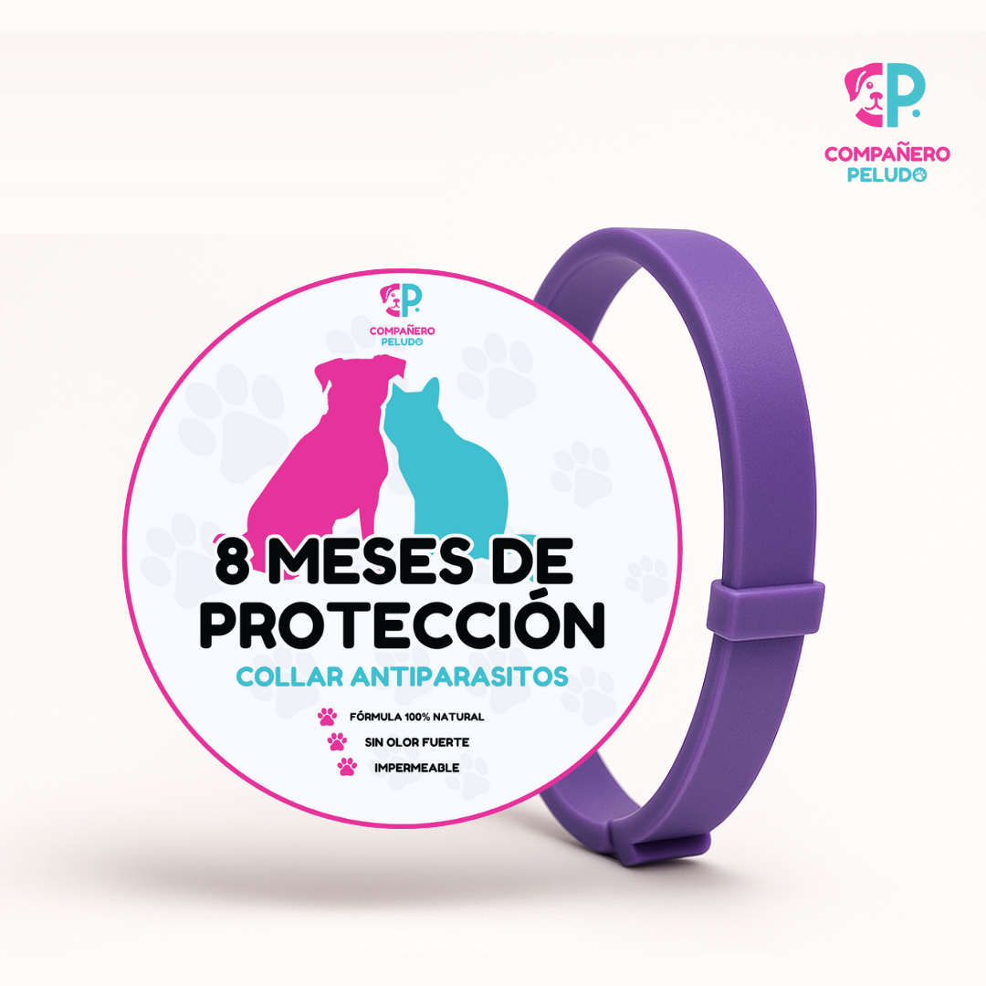 Pack de 4 collares antiparasitarios Compañero Peludo