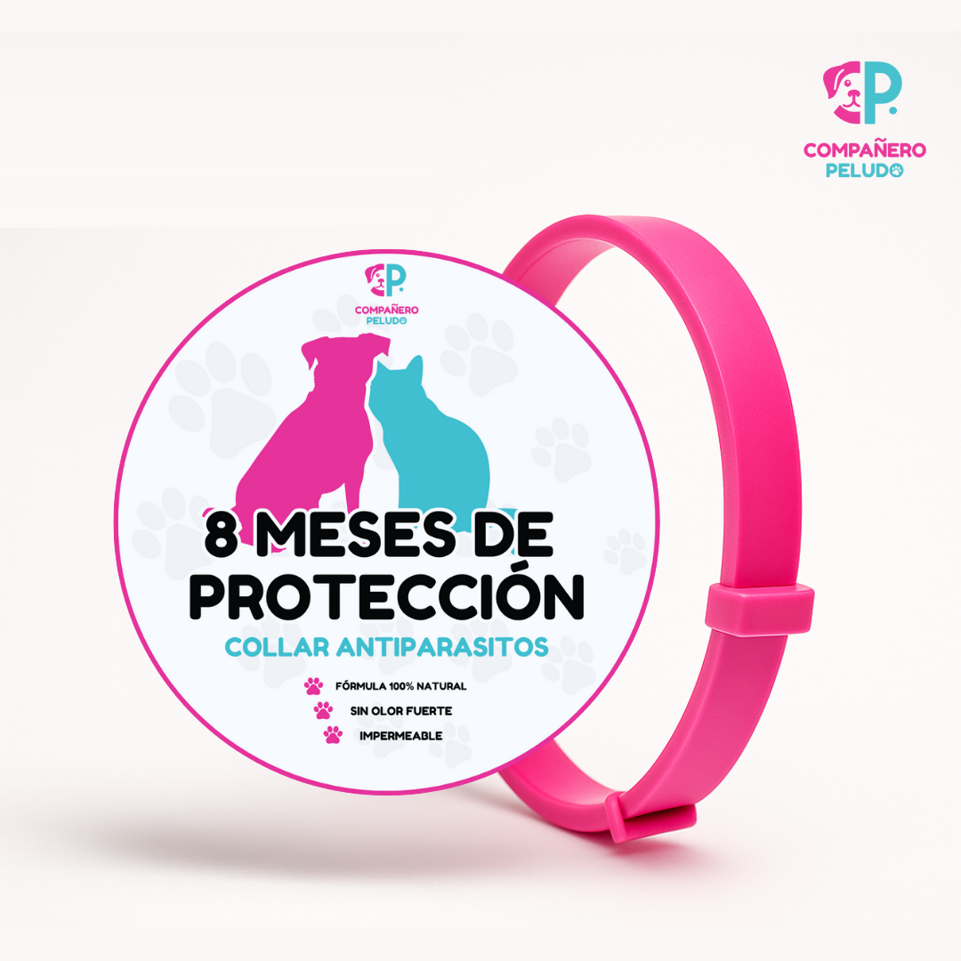 Pack de 4 collares antiparasitarios Compañero Peludo